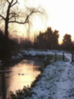 Burwell Lode 5.jpg
153.30 KB
768 x 1024
4/26/02